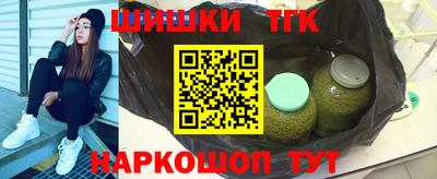 jwh Бийск